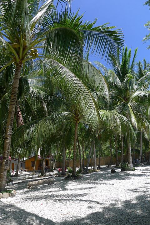 A beach in Oslob, South of Cebu.