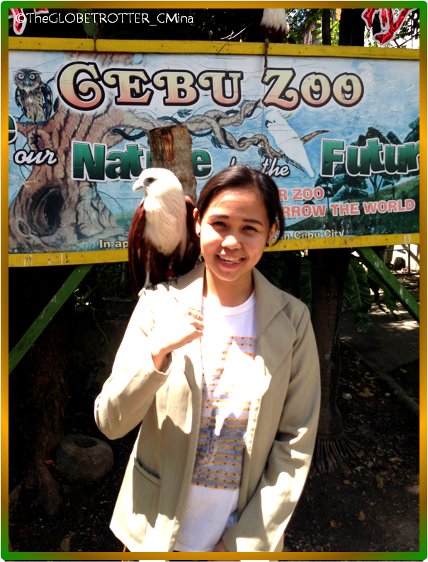 WELCOME TO CEBU ZOO!