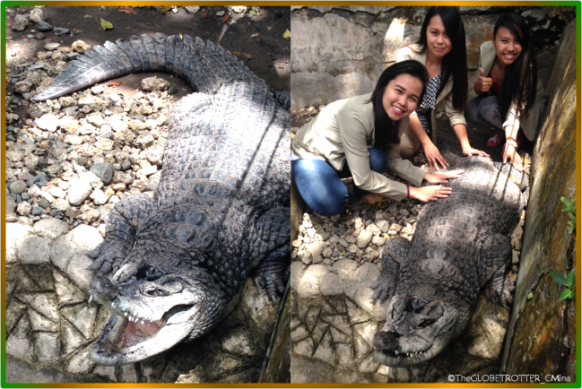 My friends and I with the our new found friend, The Crocodile.