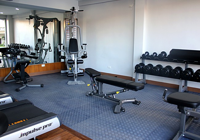 MIDORI_gym