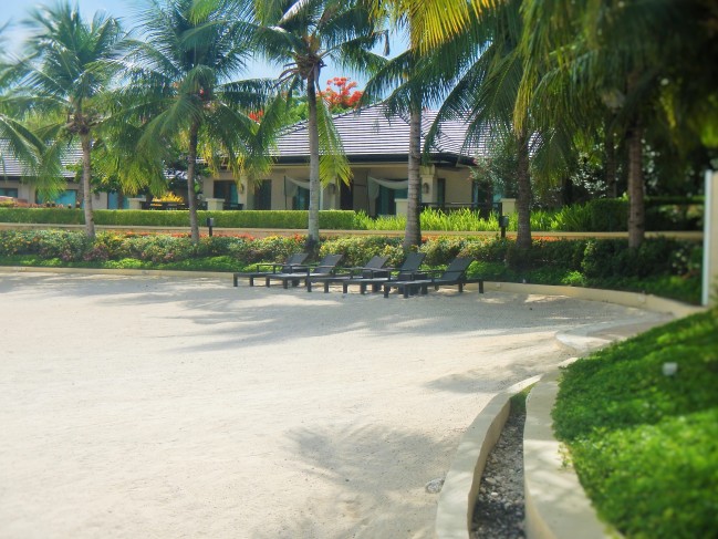 Take a peaceful nap on these chairs shaded by coconut trees.