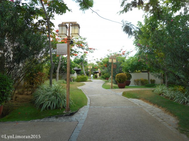 The road towards the villas.