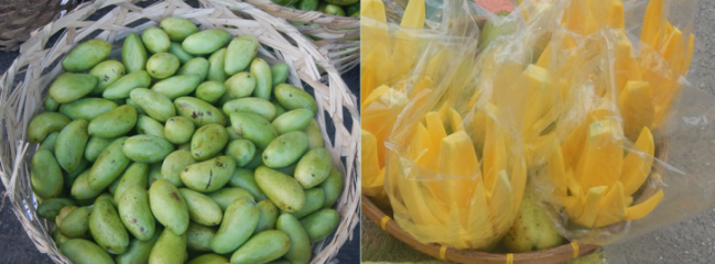 green-carabao-mangoes