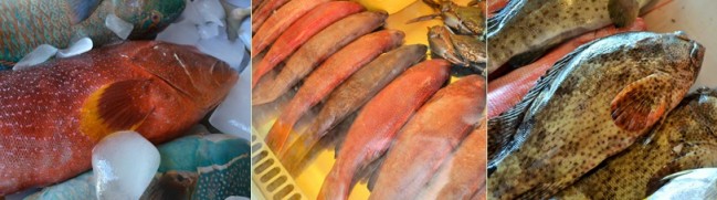 Try the sumptuous Lapu-lapu–the fish!